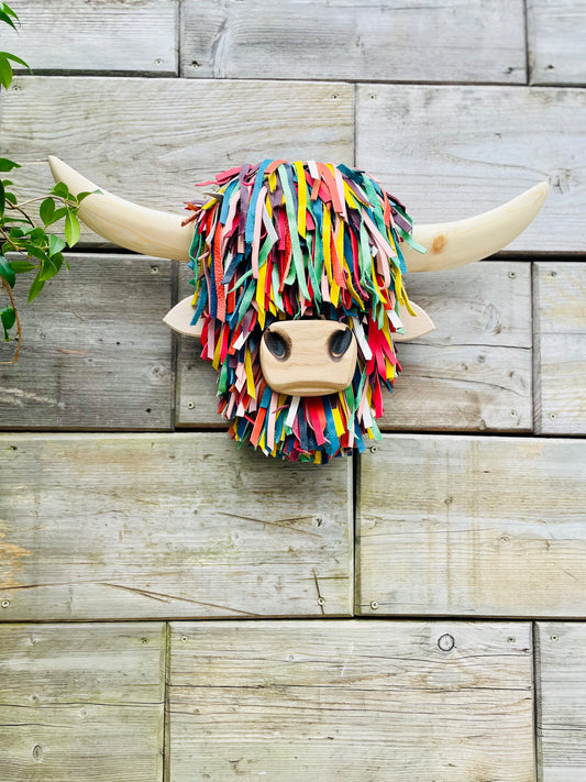 Wall Mounted Multi-coloured Highland Cow Head