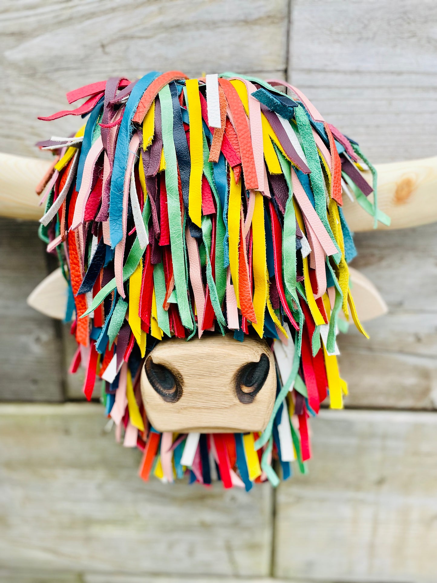 Wall Mounted Multi-coloured Highland Cow Head