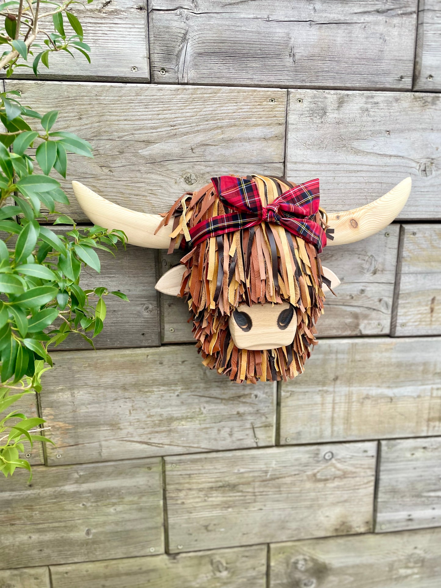 Wall Mounted Brown Highland Cows Head