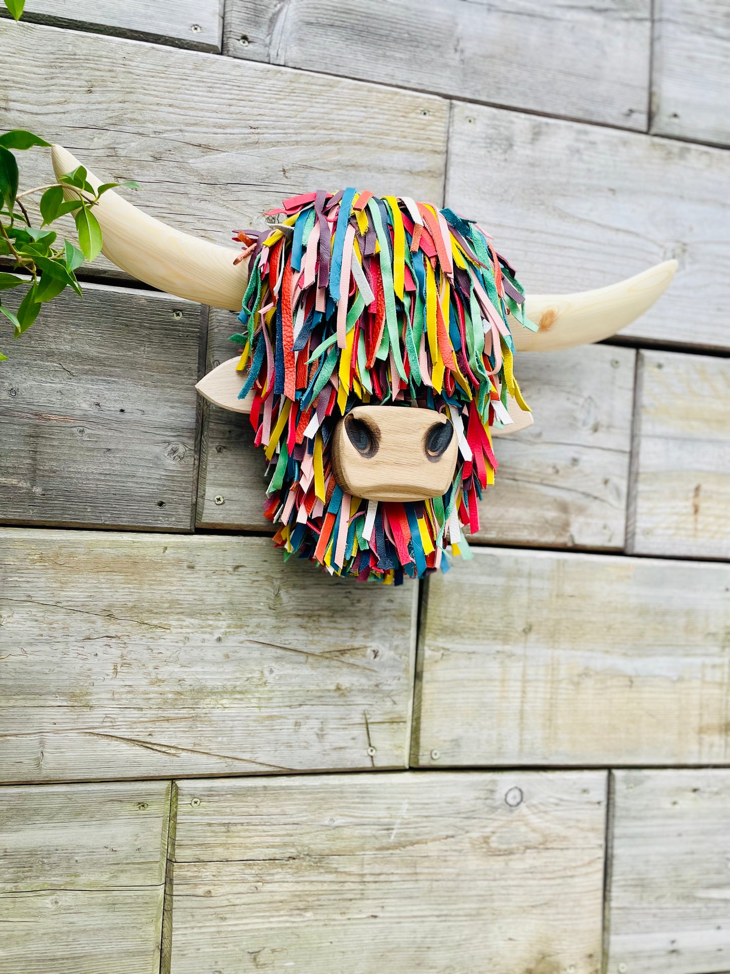 Wall Mounted Multi-coloured Highland Cow Head