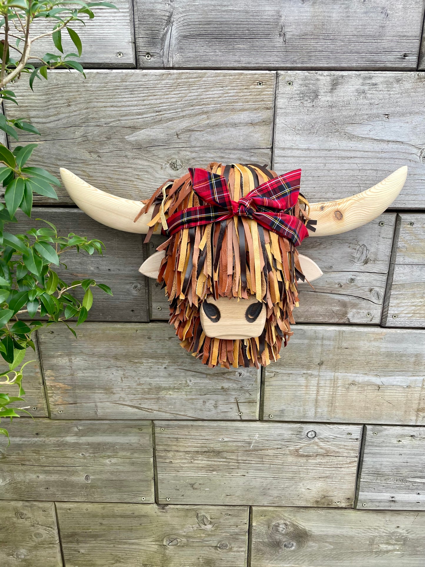 Wall Mounted Brown Highland Cows Head