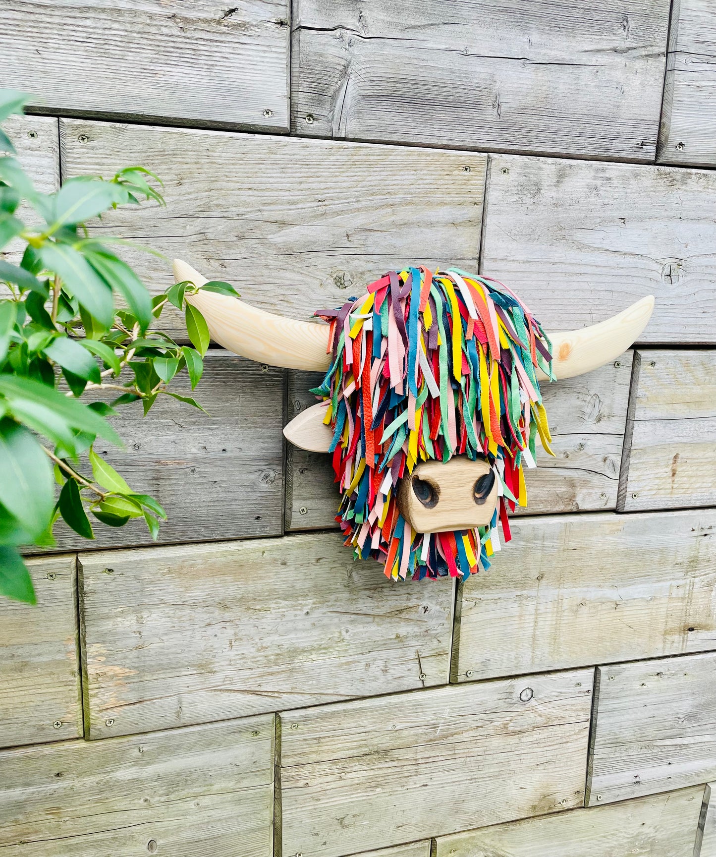 Wall Mounted Multi-coloured Highland Cow Head