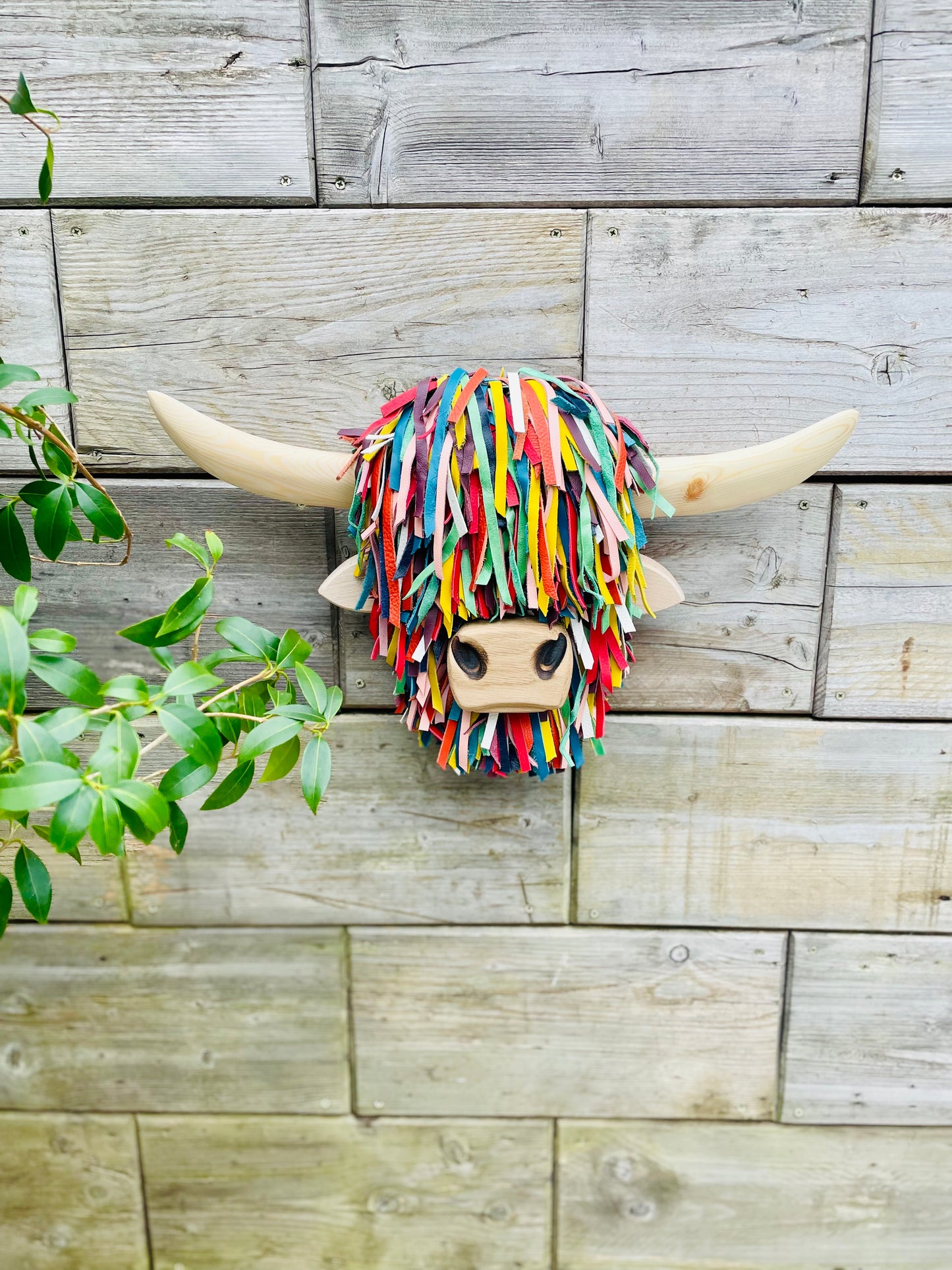 Wall Mounted Multi-coloured Highland Cow Head