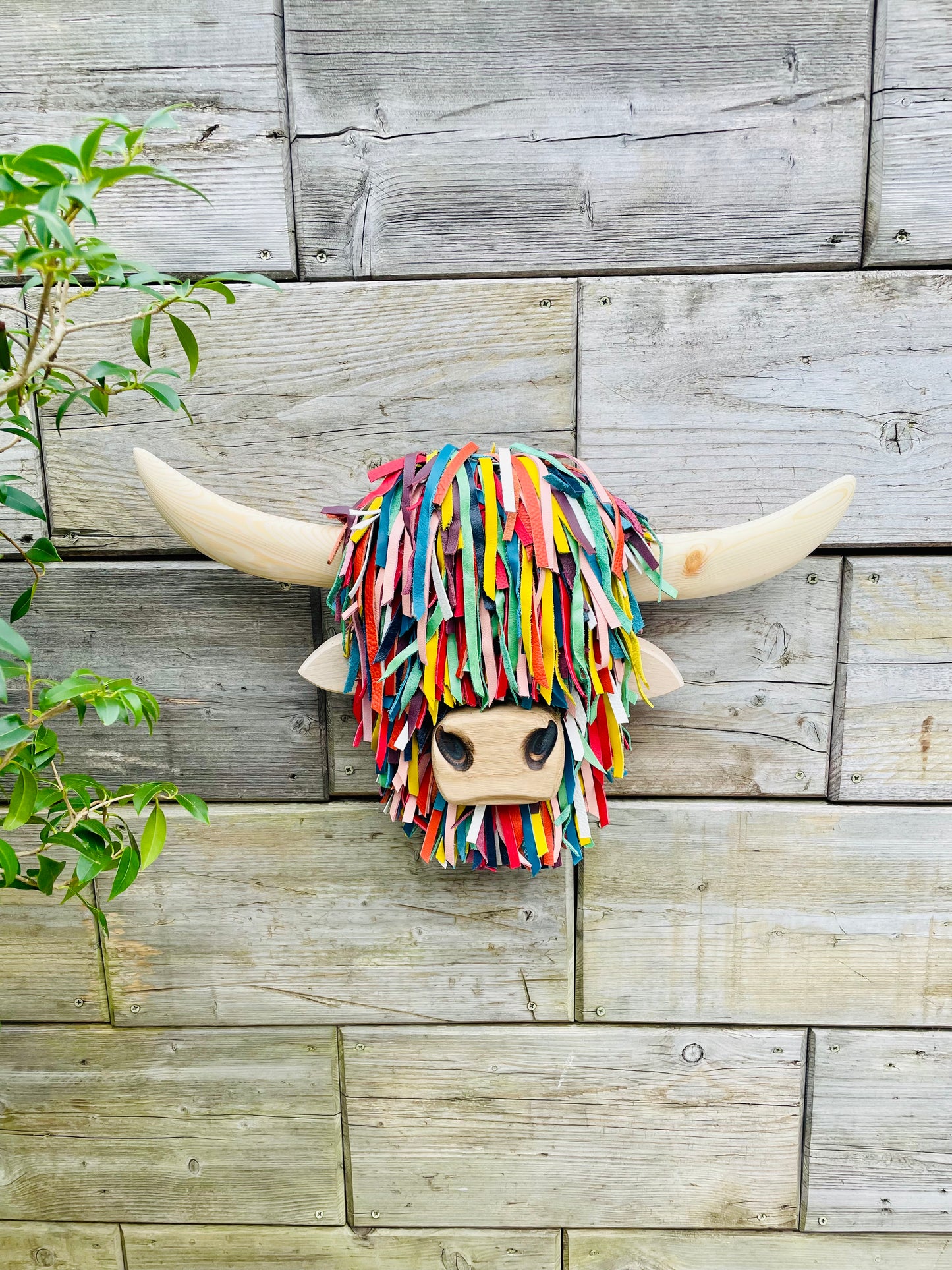 Wall Mounted Multi-coloured Highland Cow Head