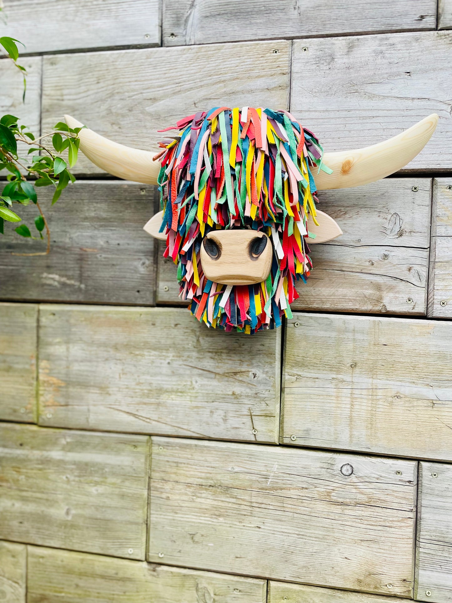 Wall Mounted Multi-coloured Highland Cow Head