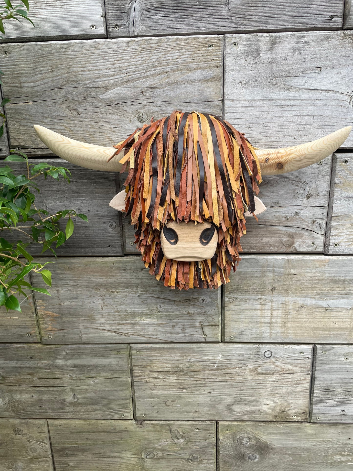 Wall Mounted Brown Highland Cows Head