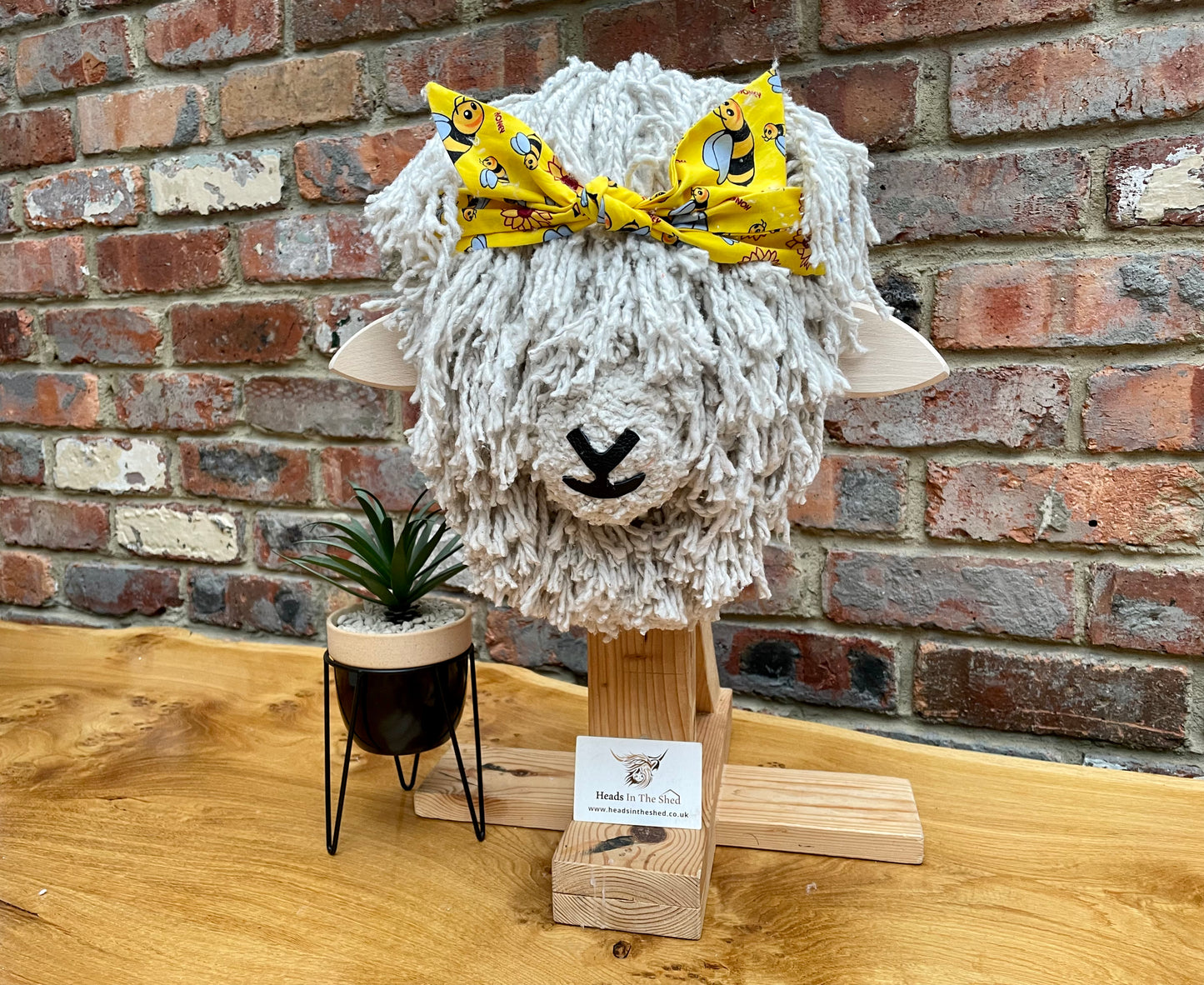 Wall Mounted Cotswold Sheep’s Head