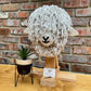 Wall Mounted Cotswold Sheep’s Head