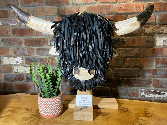 Wall Mounted Black Highland Cows Head