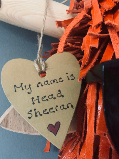 Wall Mounted Head Sheeran Highland Cow Head